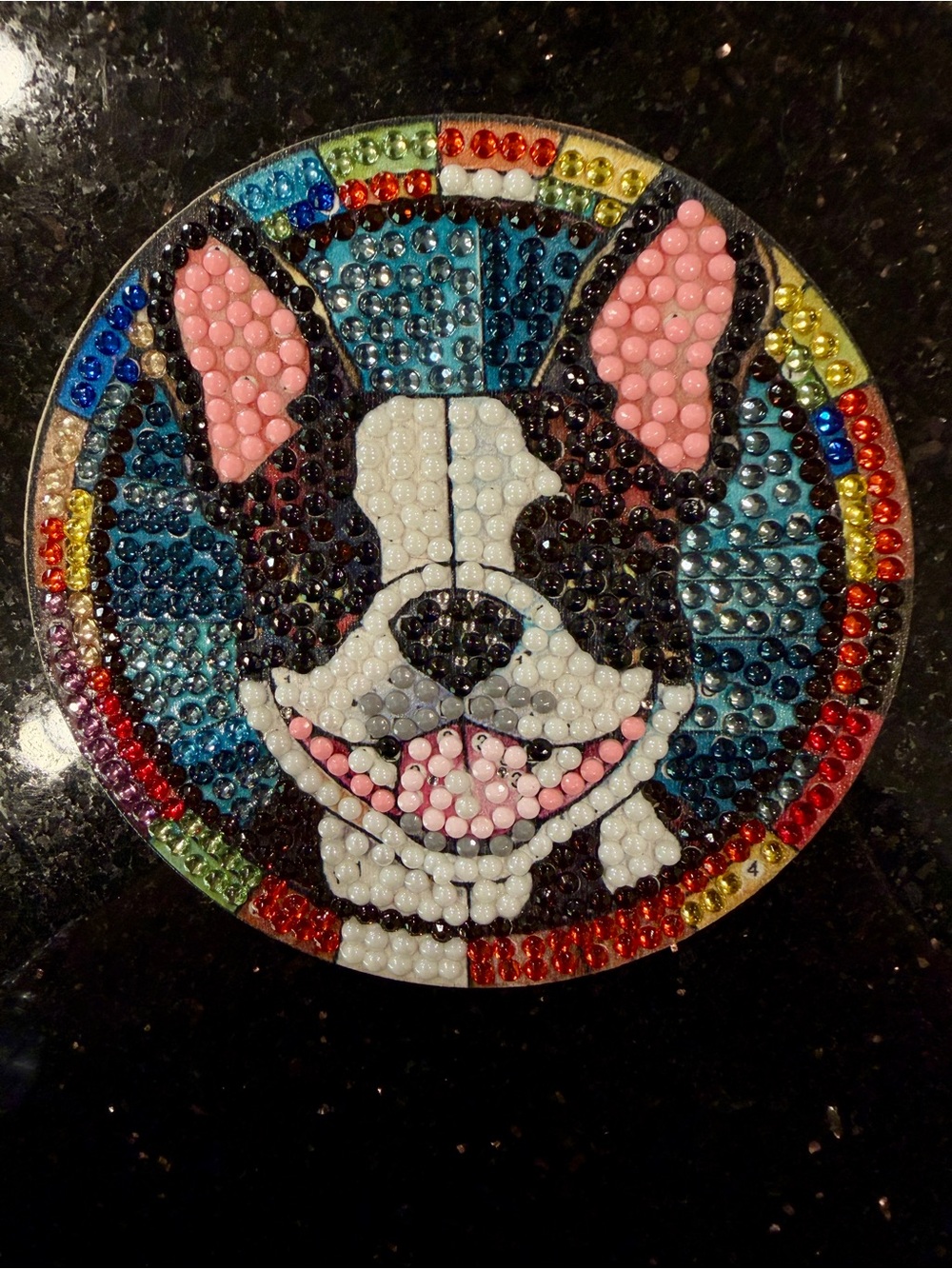 Custom Mosaic Dog Coasters (Set of 7) - Picture 9 of 9